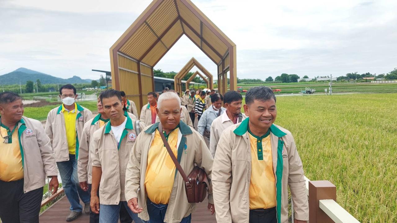 ภาพประกอบที่ 11