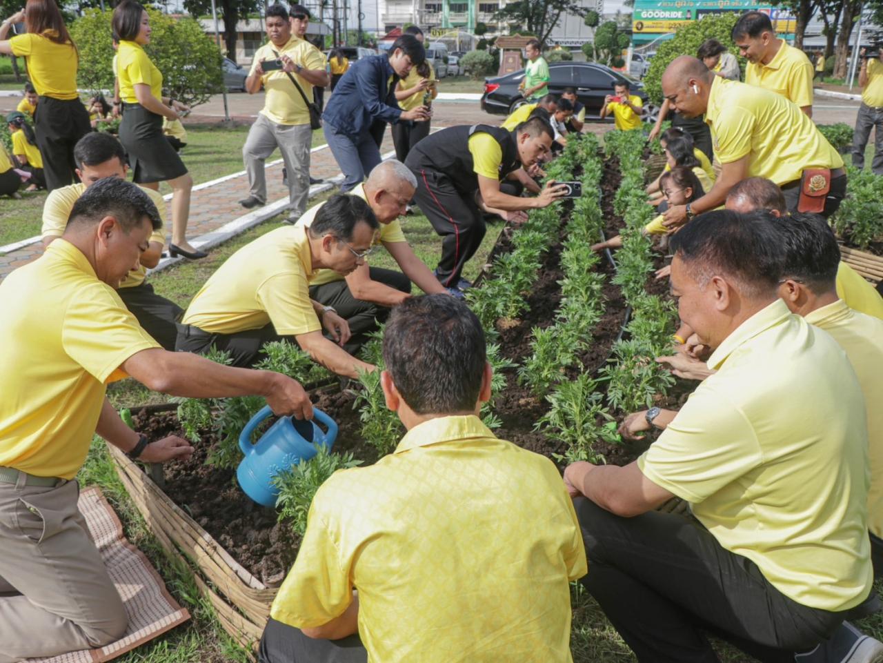 ภาพประกอบที่ 6