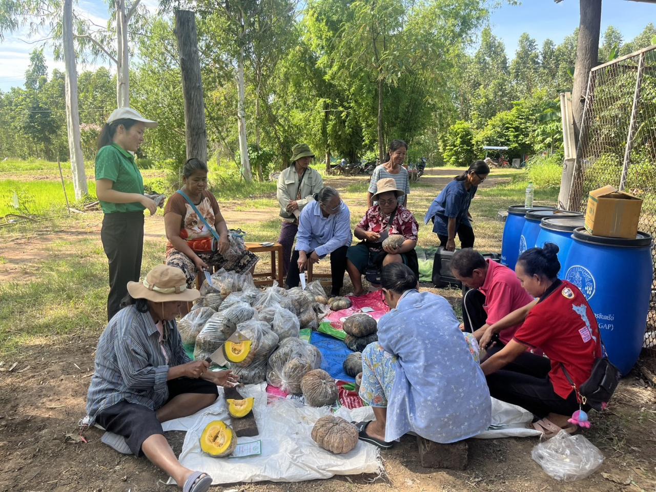 ภาพประกอบที่ 0