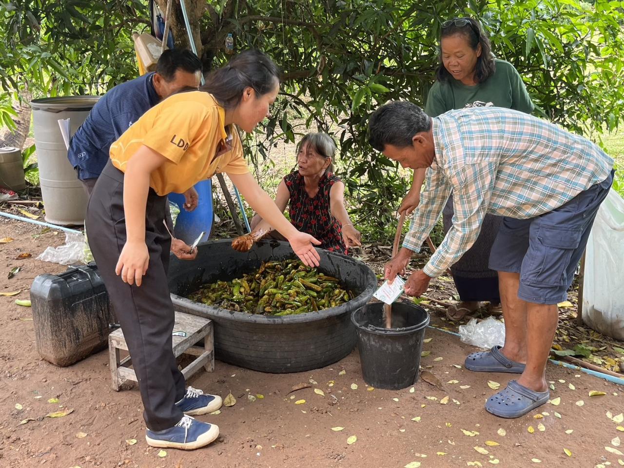 ภาพประกอบที่ 4