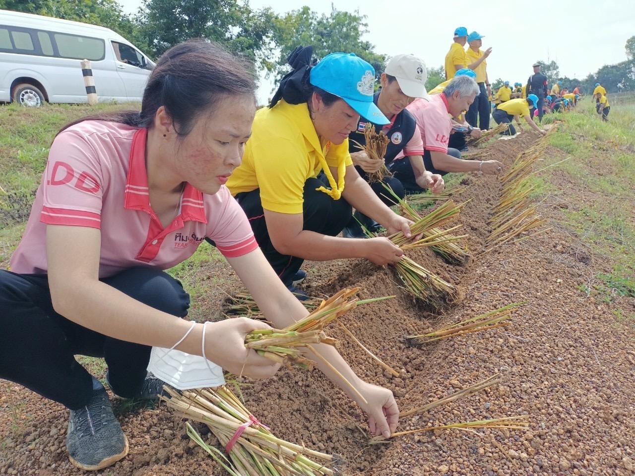 ภาพประกอบที่ 2