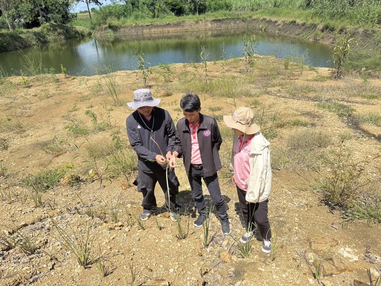 ภาพประกอบที่ 1