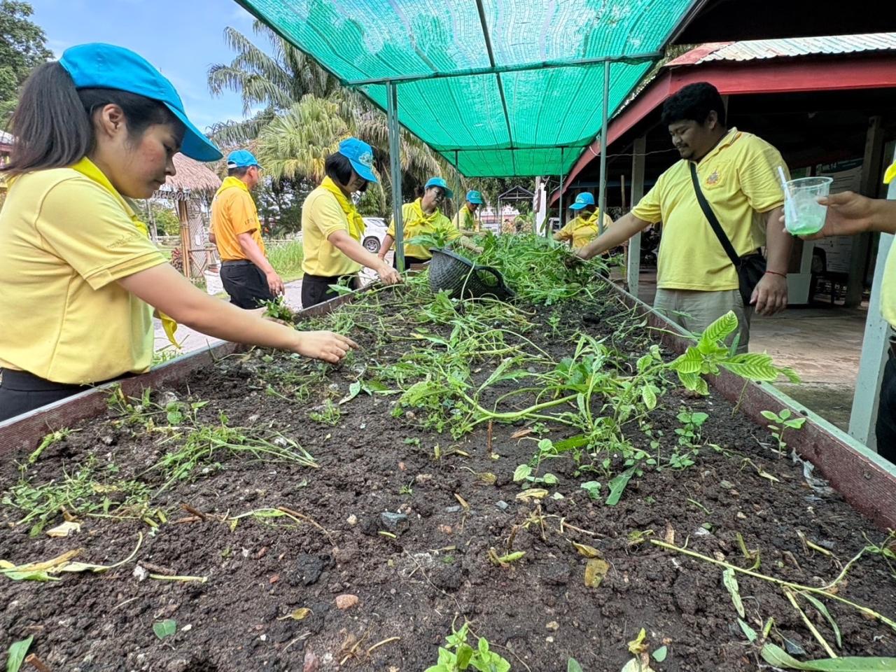 ภาพประกอบที่ 11