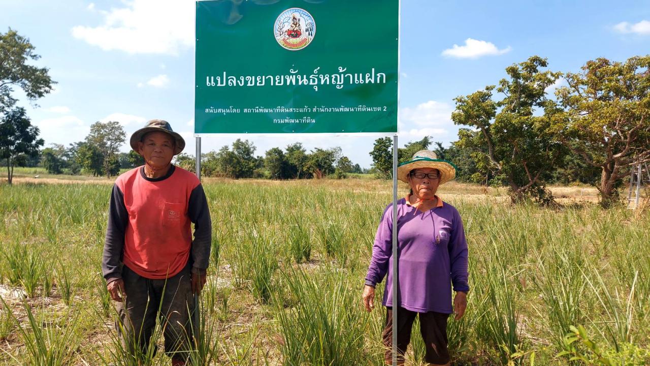 ภาพประกอบที่ 5