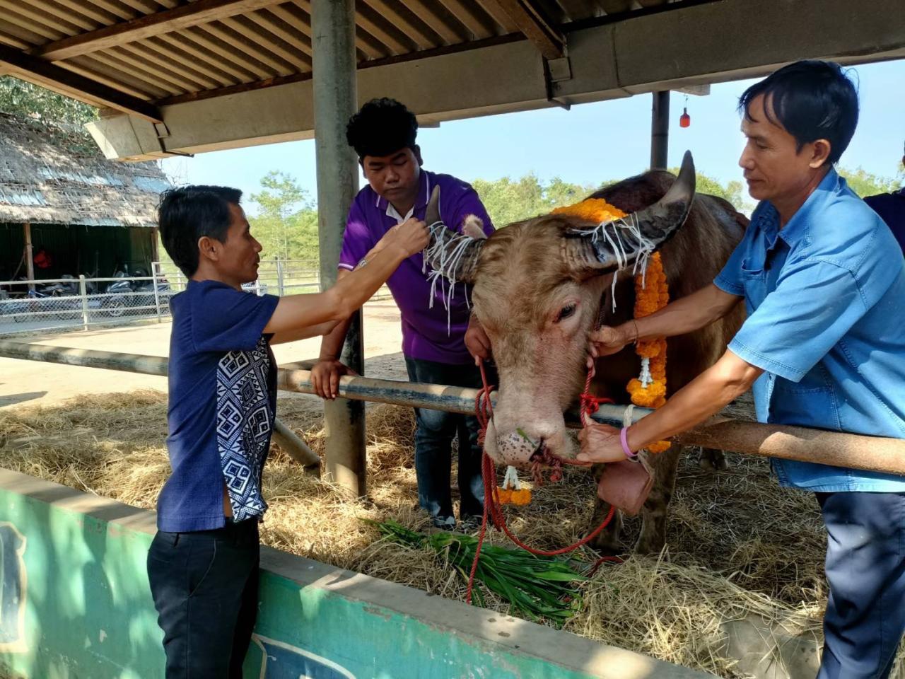 ภาพประกอบที่ 1