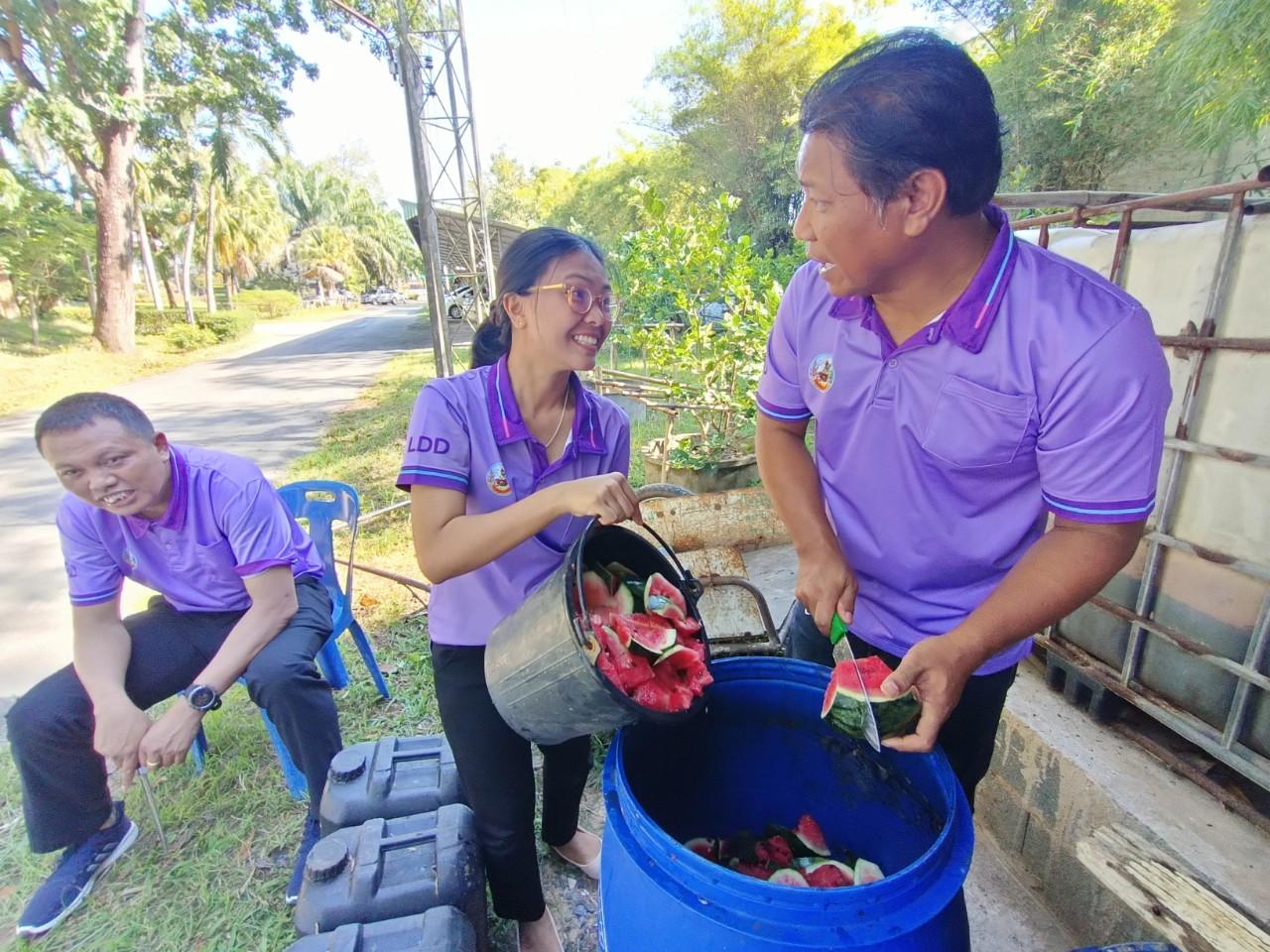 ภาพประกอบที่ 1