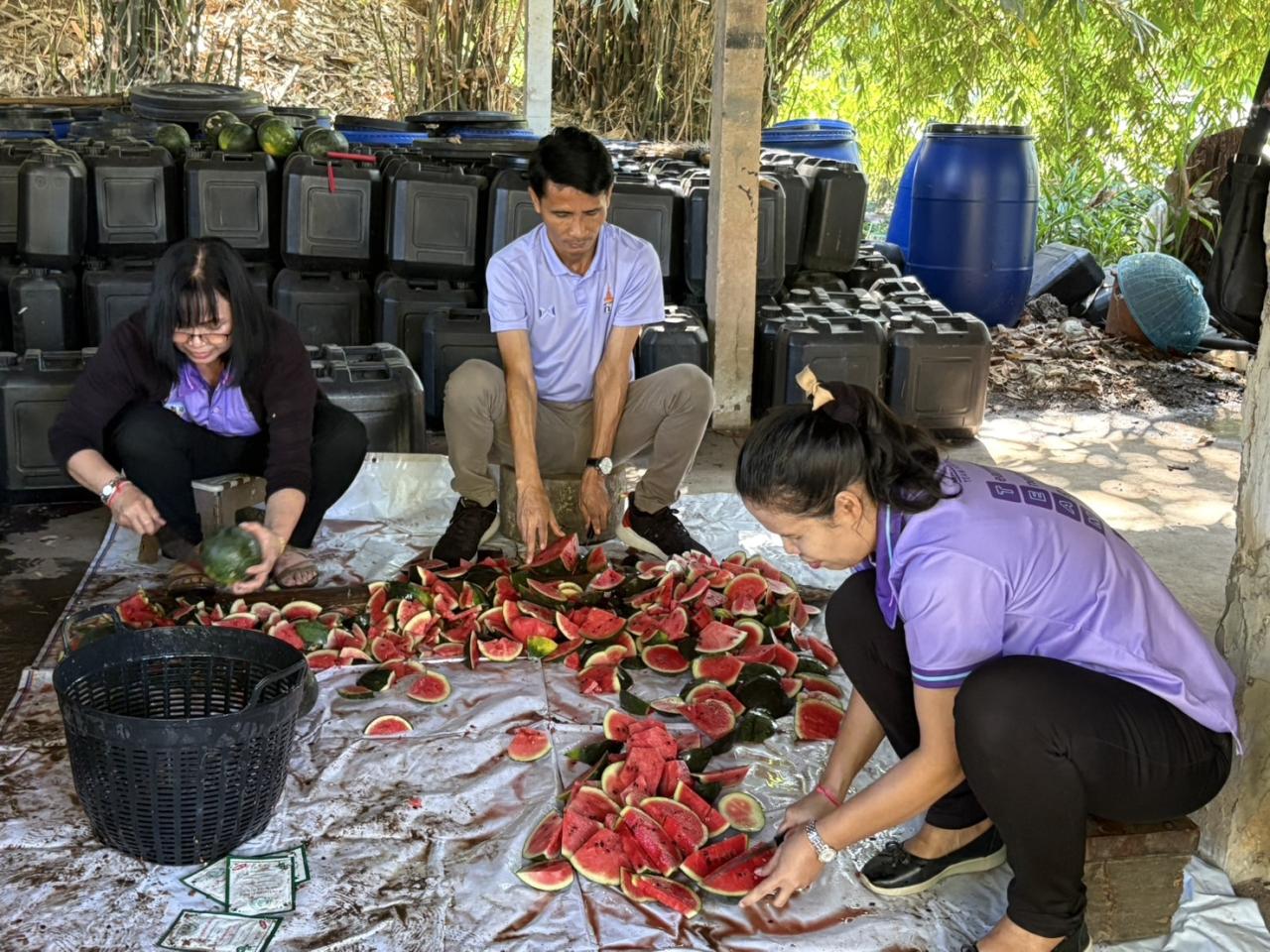 ภาพประกอบที่ 5