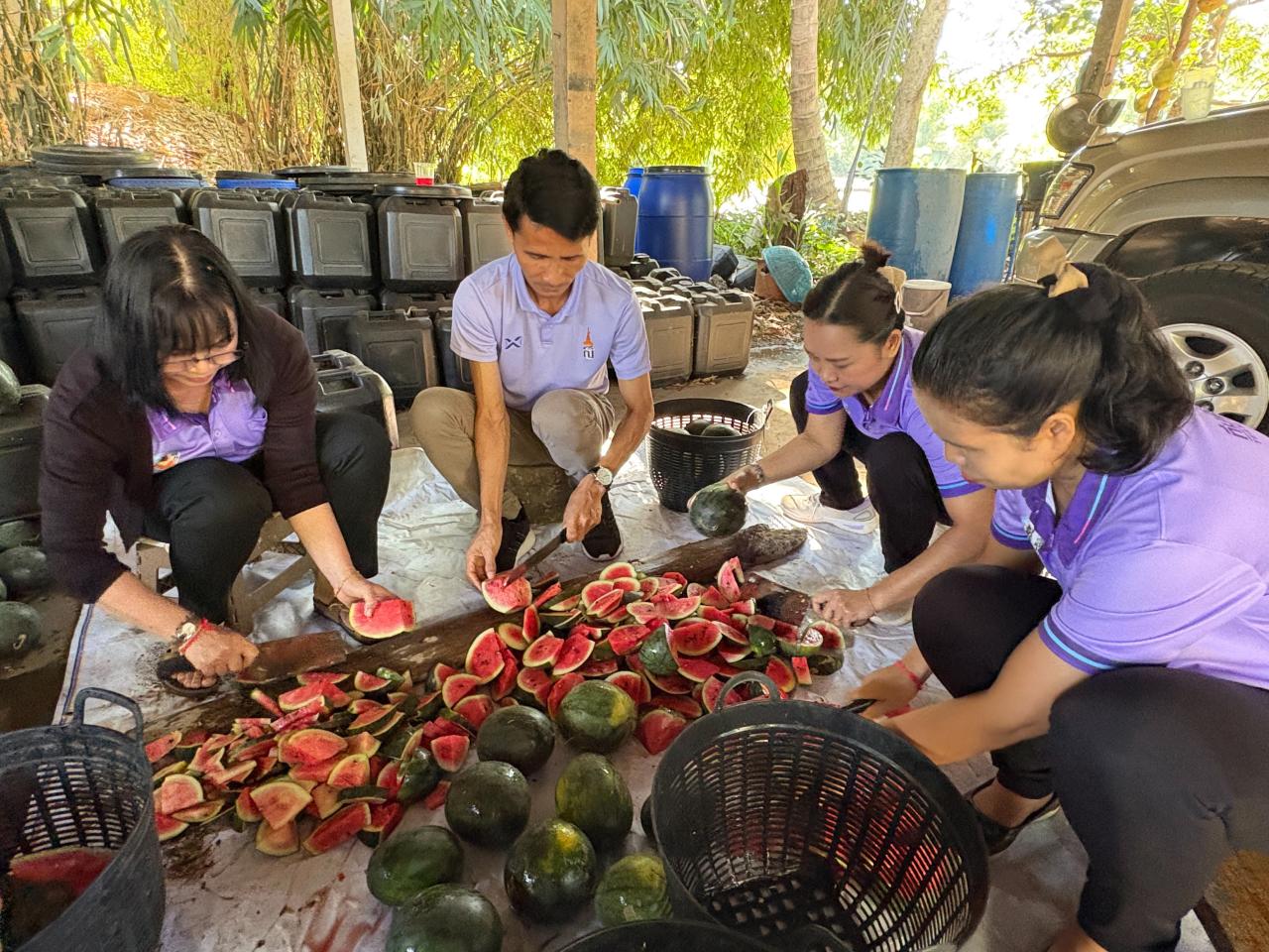 ภาพประกอบที่ 7