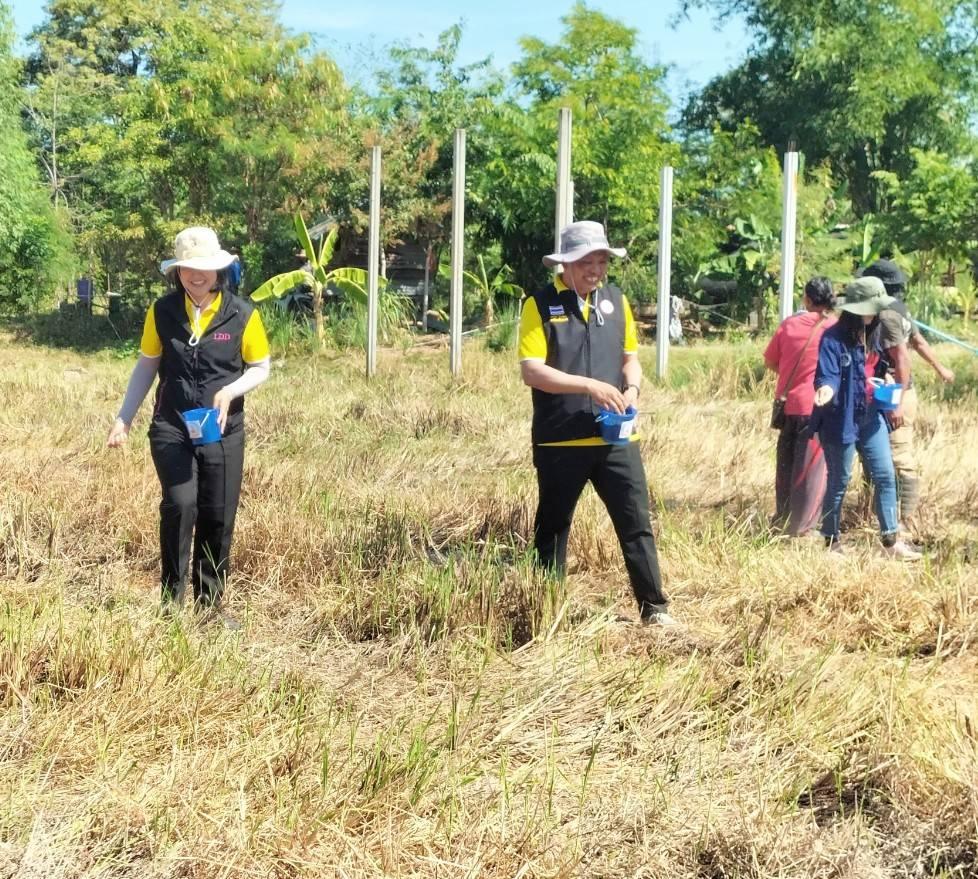 ภาพประกอบที่ 1