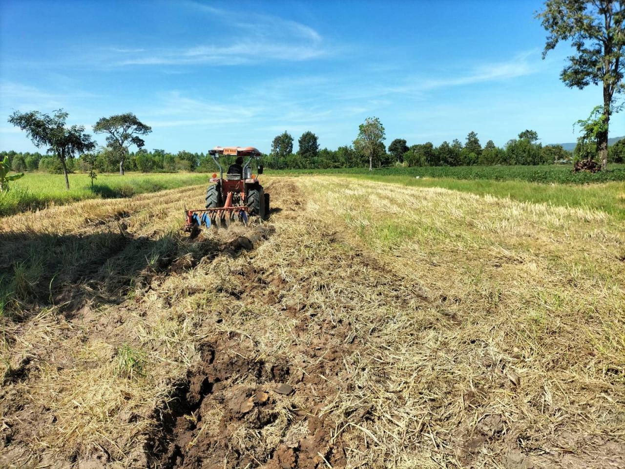 ภาพประกอบที่ 1