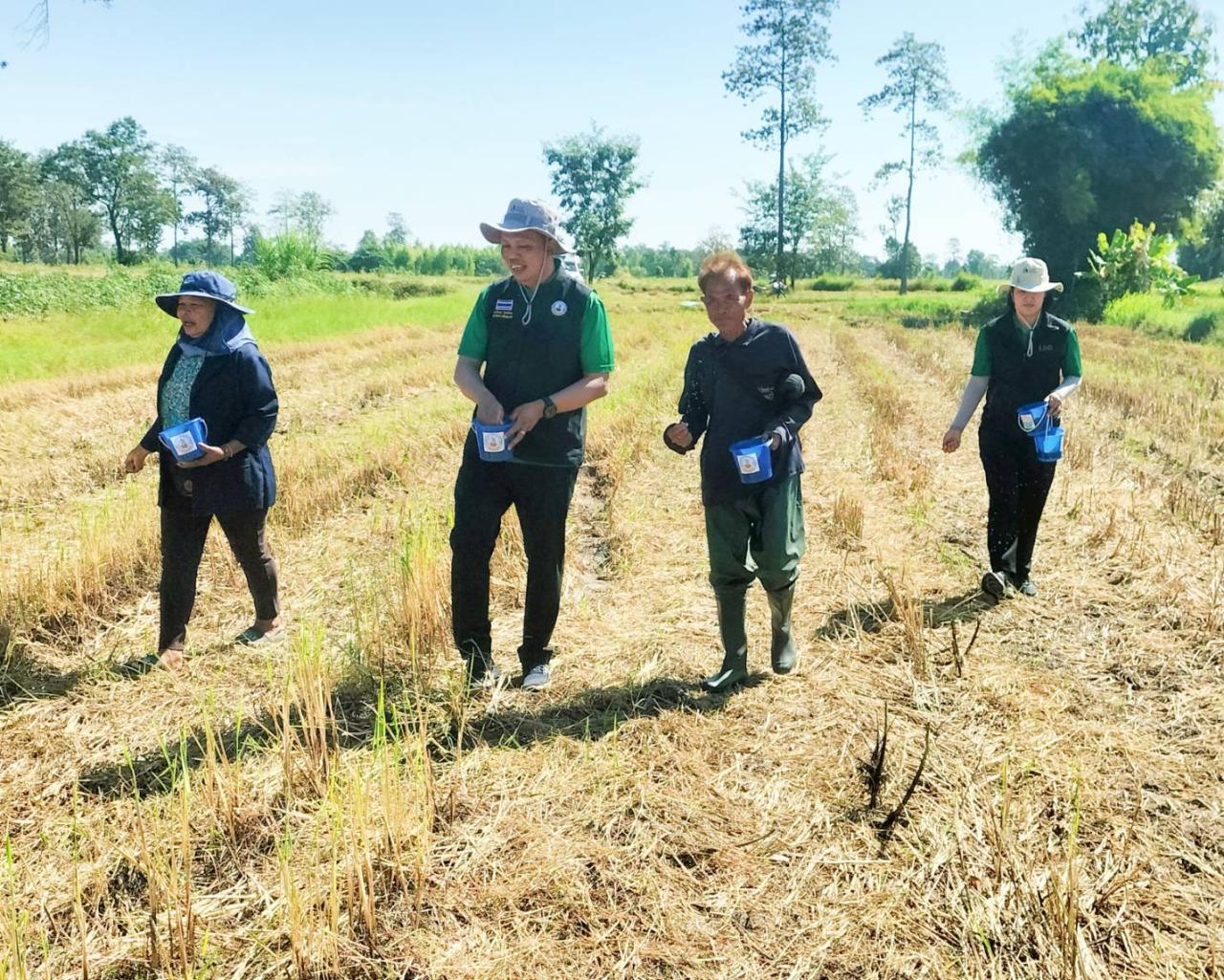 ภาพประกอบที่ 3