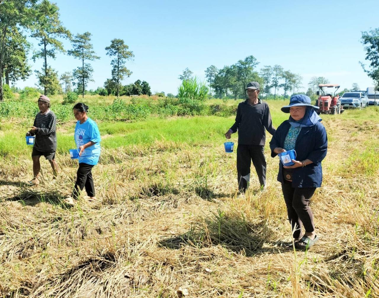 ภาพประกอบที่ 4