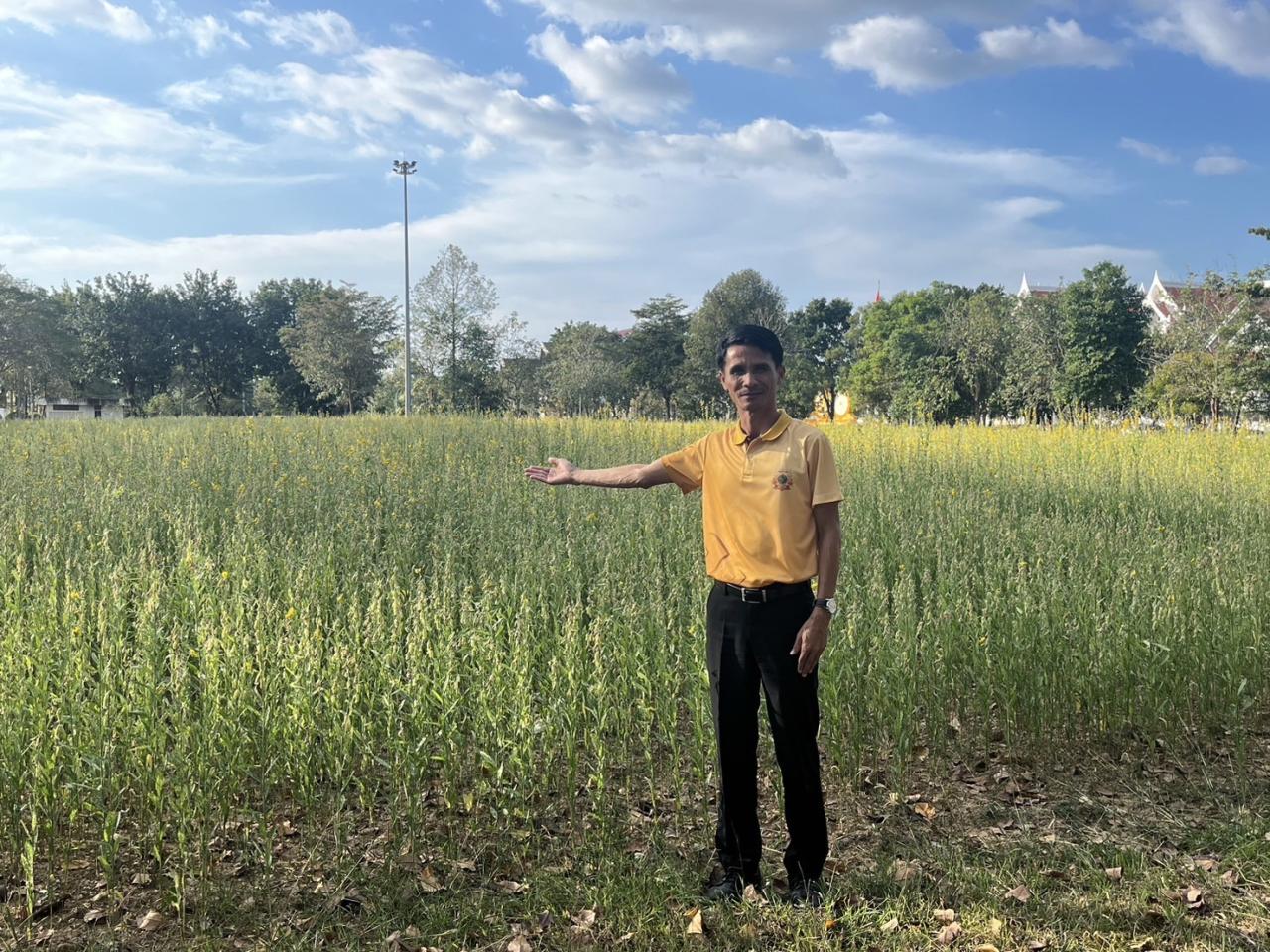 ภาพประกอบที่ 3