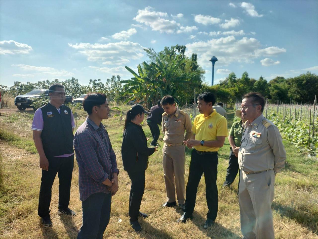 ภาพประกอบที่ 3