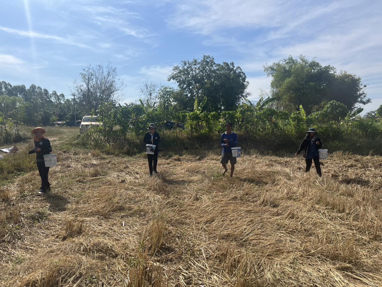 ภาพประกอบที่ 4