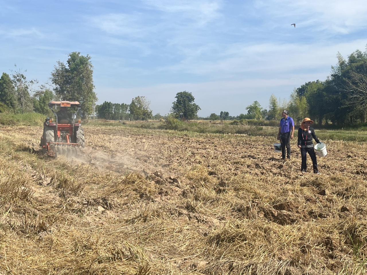 ภาพประกอบที่ 5