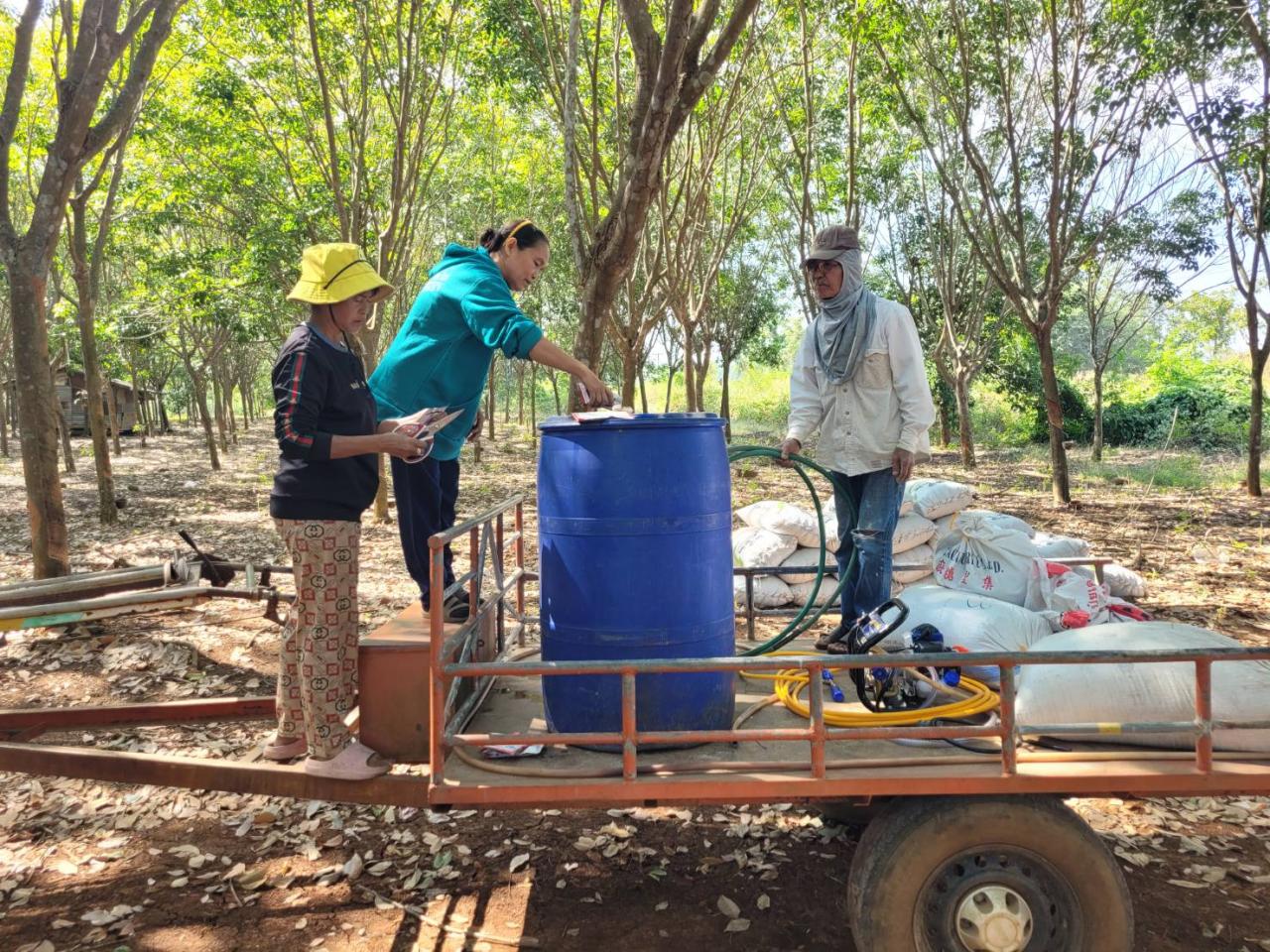 ภาพประกอบที่ 1