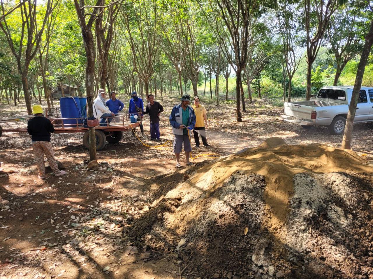 ภาพประกอบที่ 4