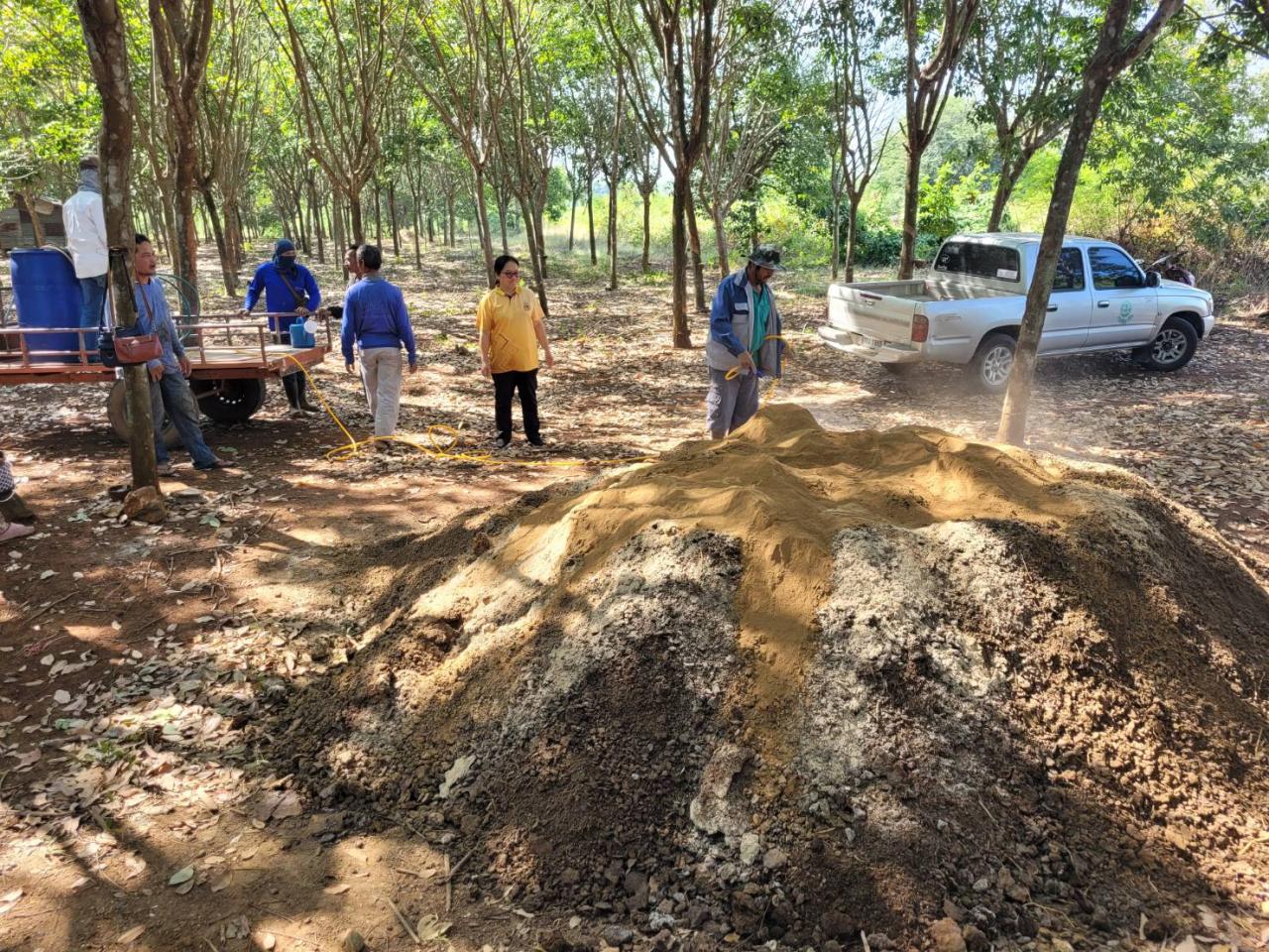 ภาพประกอบที่ 5