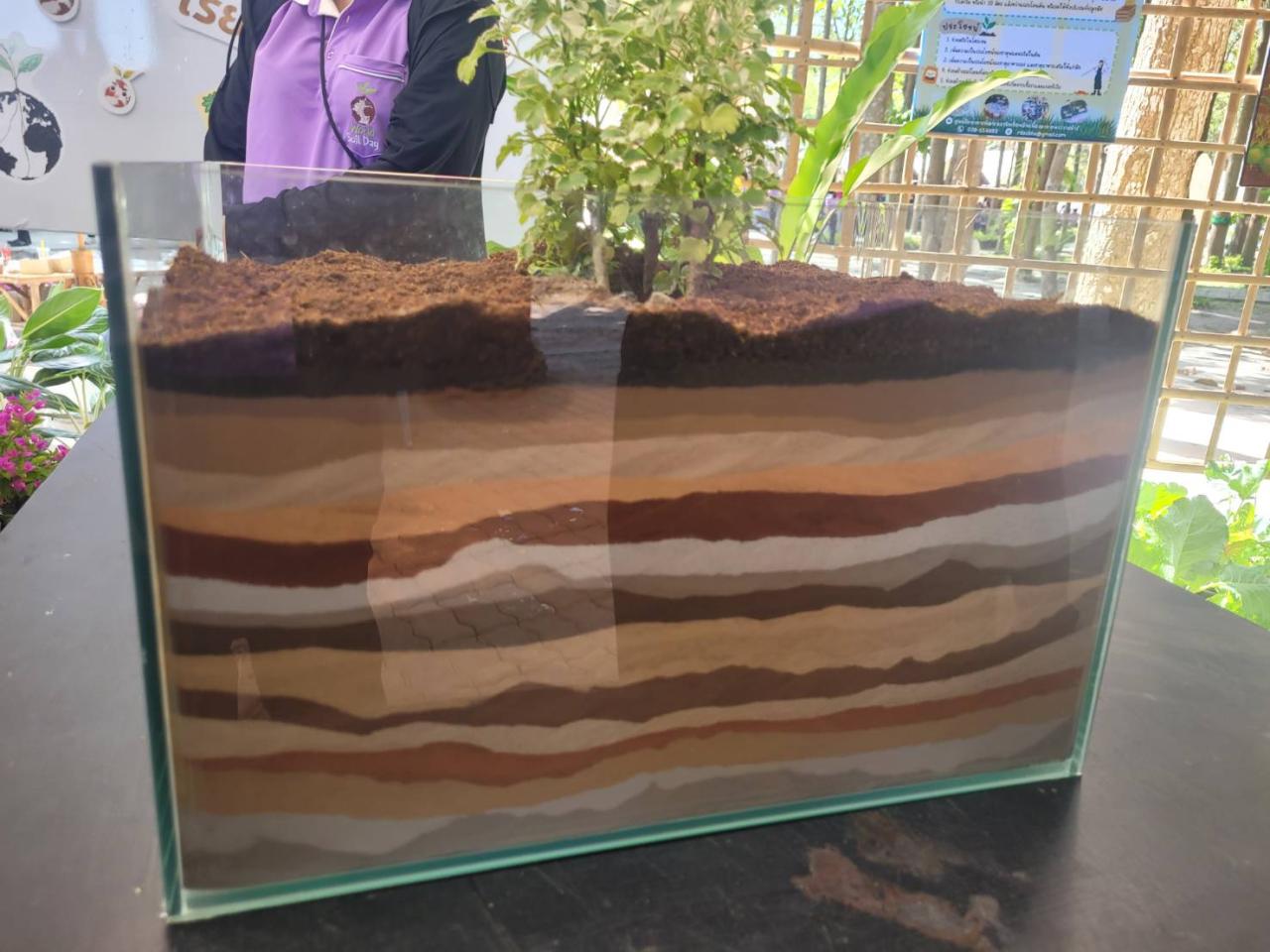 ภาพประกอบที่ 8