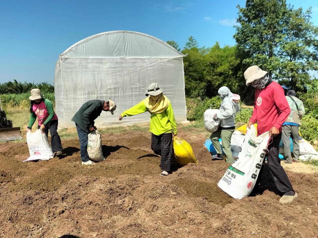 ภาพประกอบที่ 0