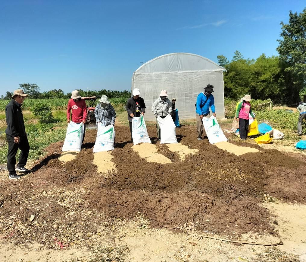 ภาพประกอบที่ 1