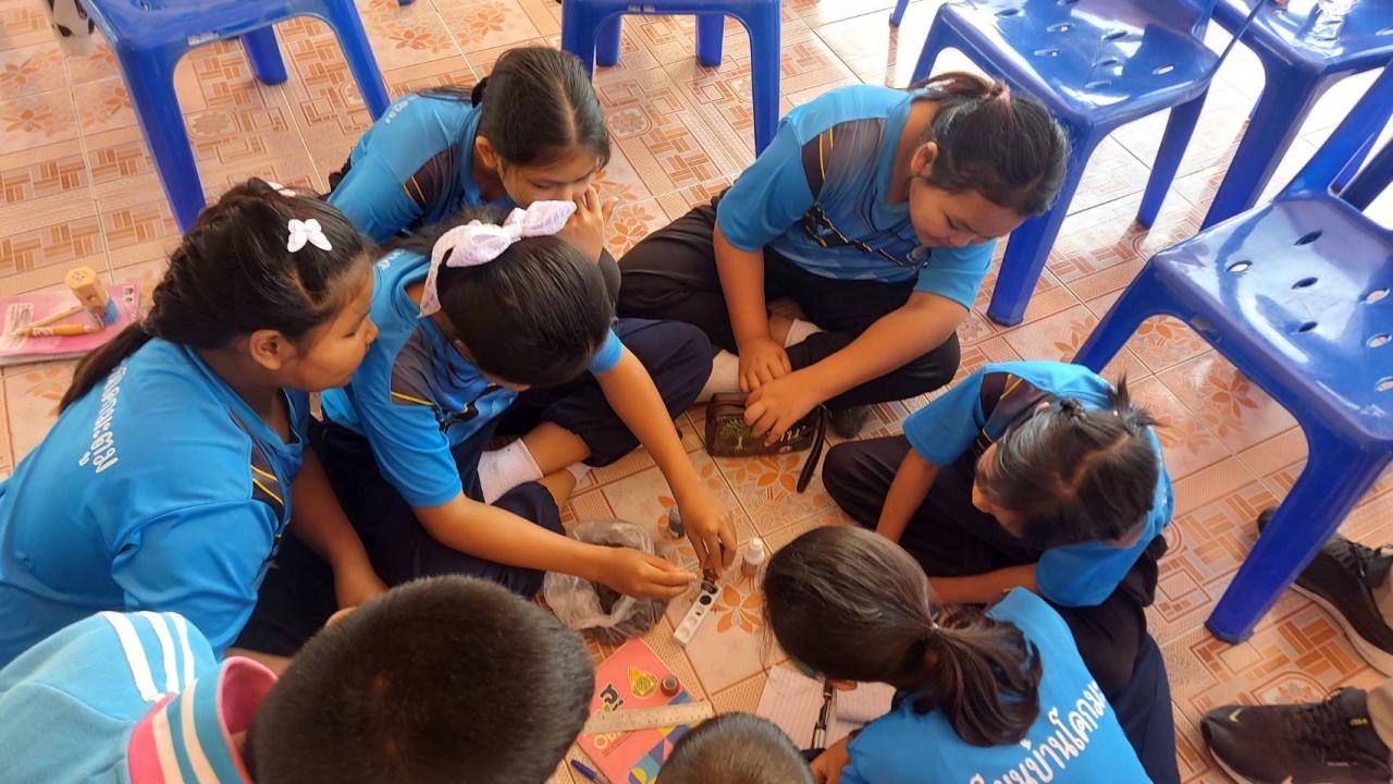 ภาพประกอบที่ 2