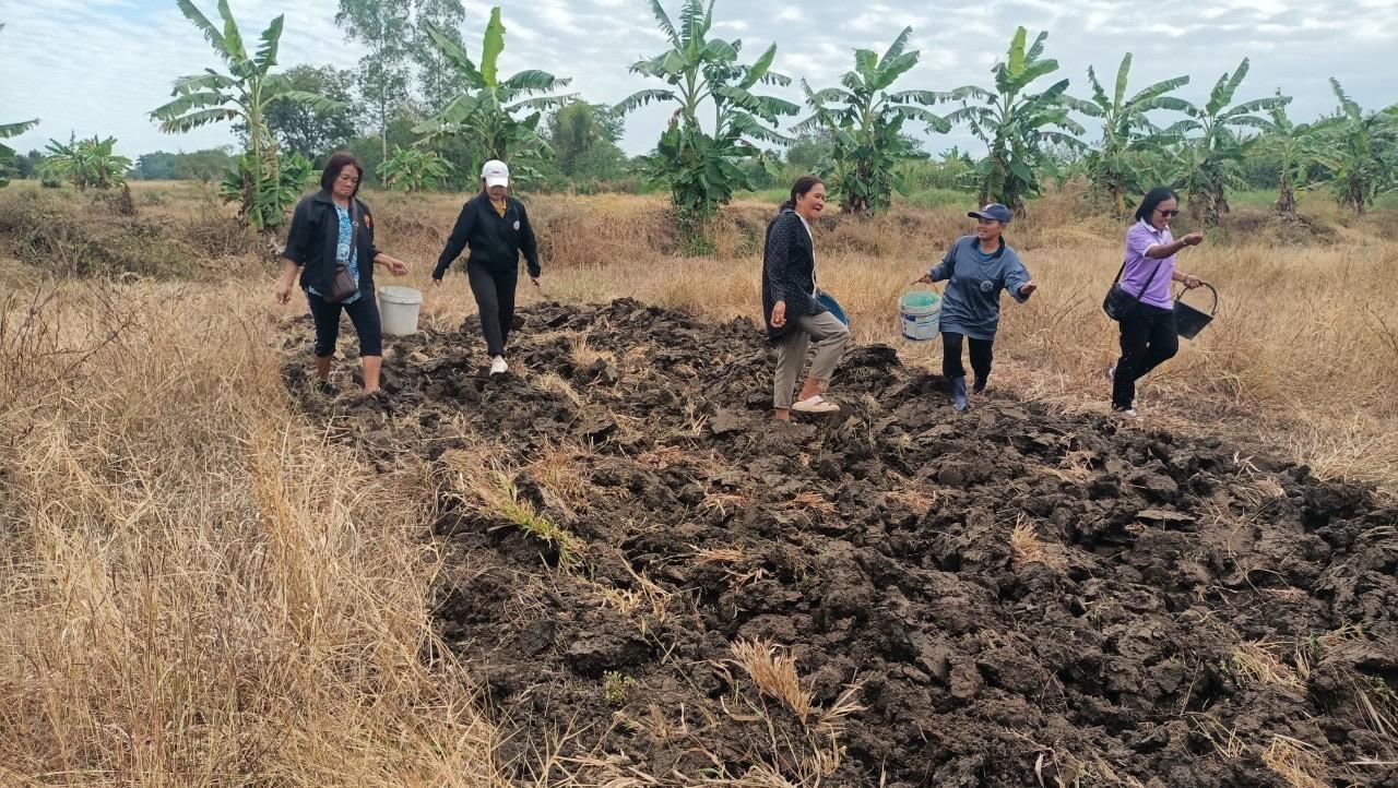 ภาพประกอบที่ 1