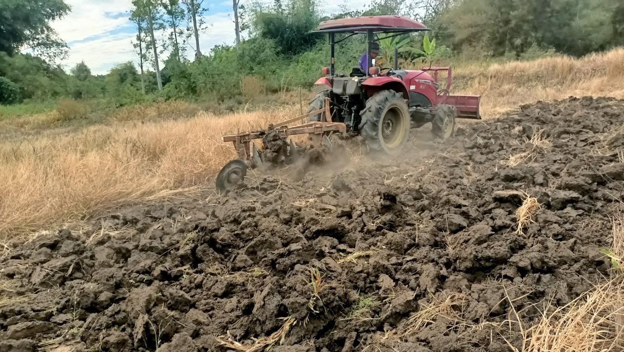 ภาพประกอบที่ 2