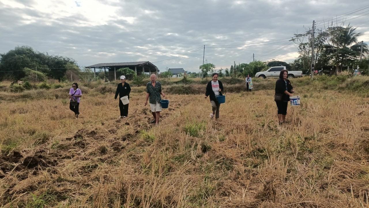 ภาพประกอบที่ 6