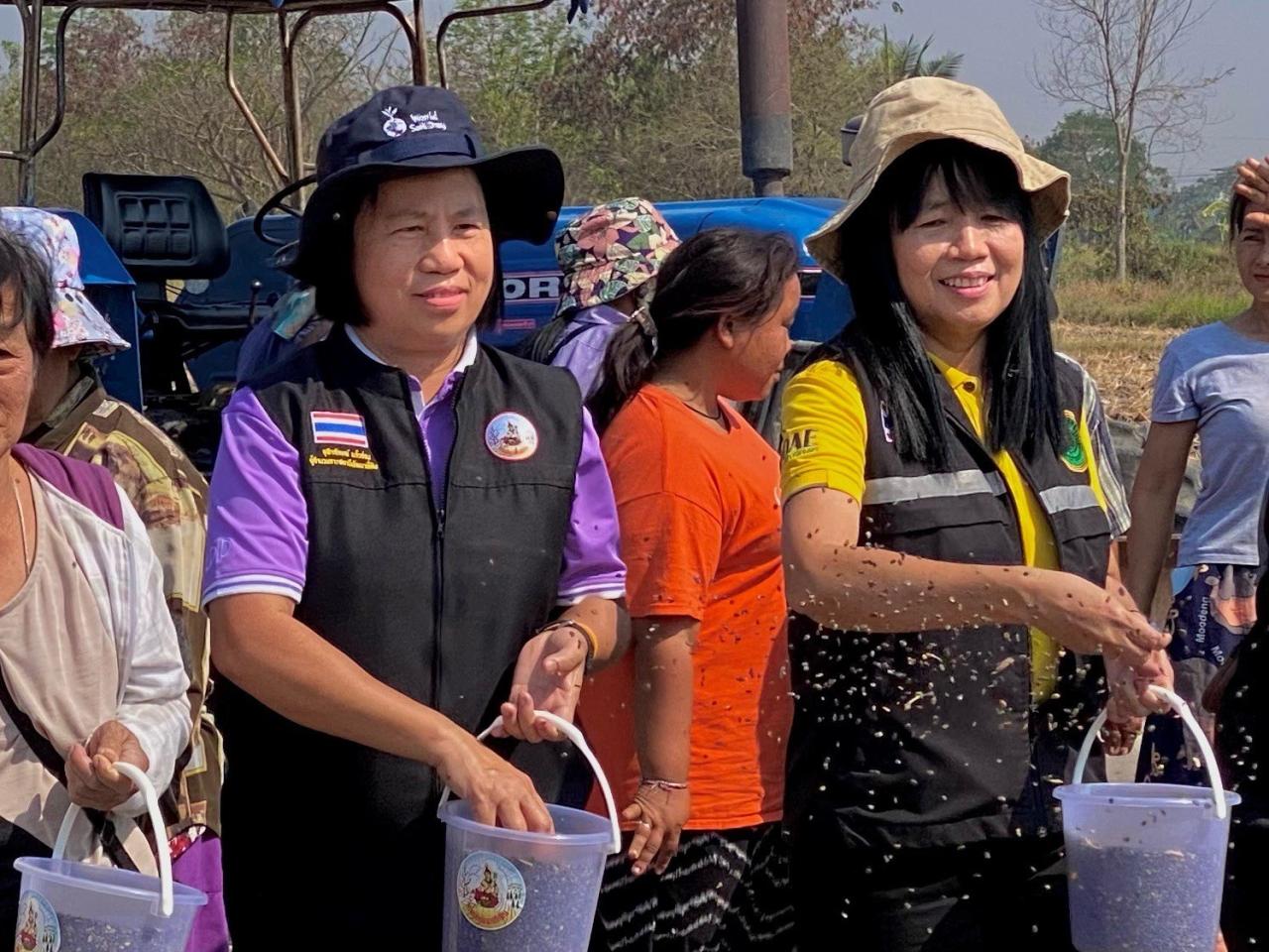 ภาพประกอบที่ 15