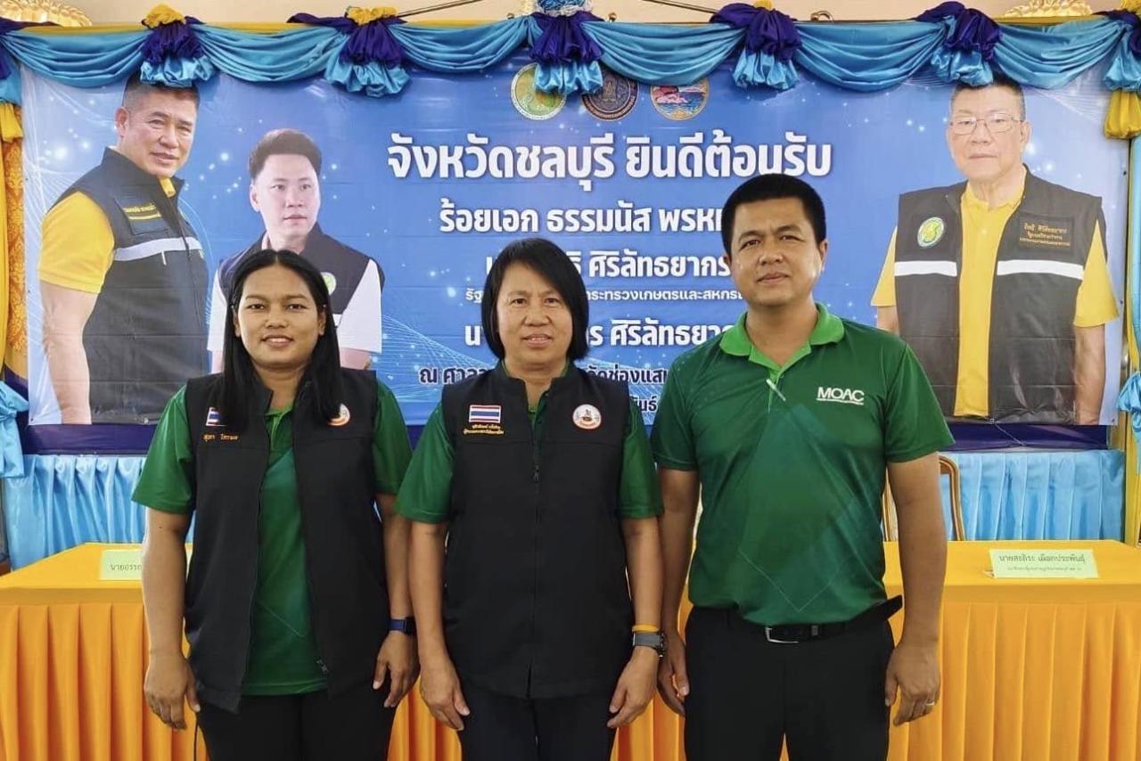 ภาพประกอบที่ 2