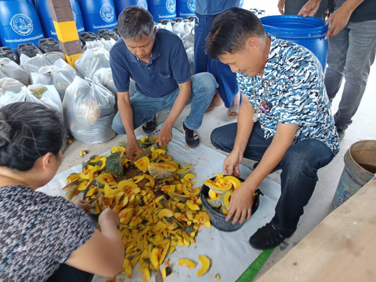 ภาพประกอบที่ 2