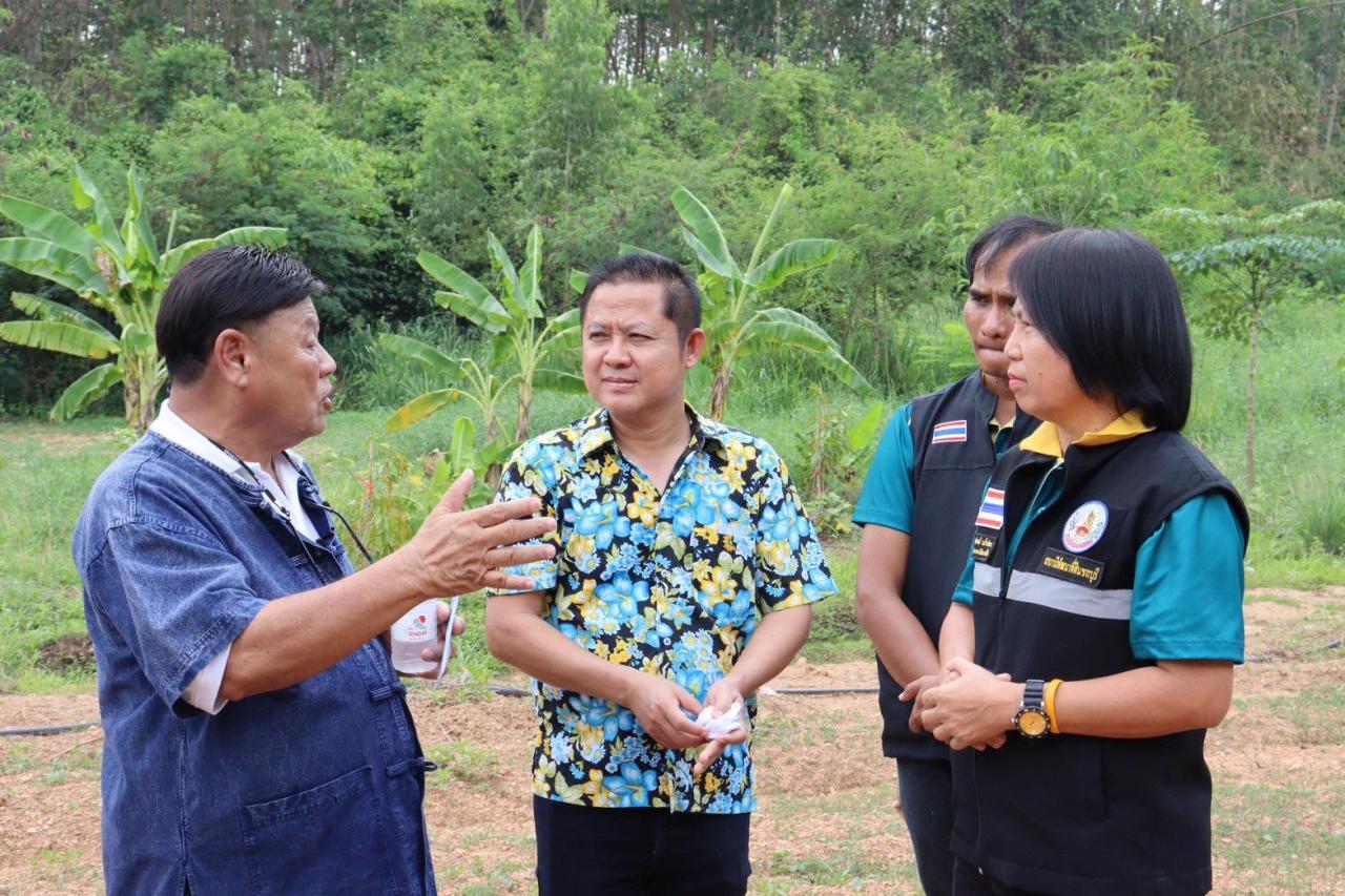 ภาพประกอบที่ 3