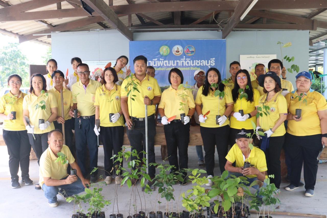 ภาพประกอบที่ 0