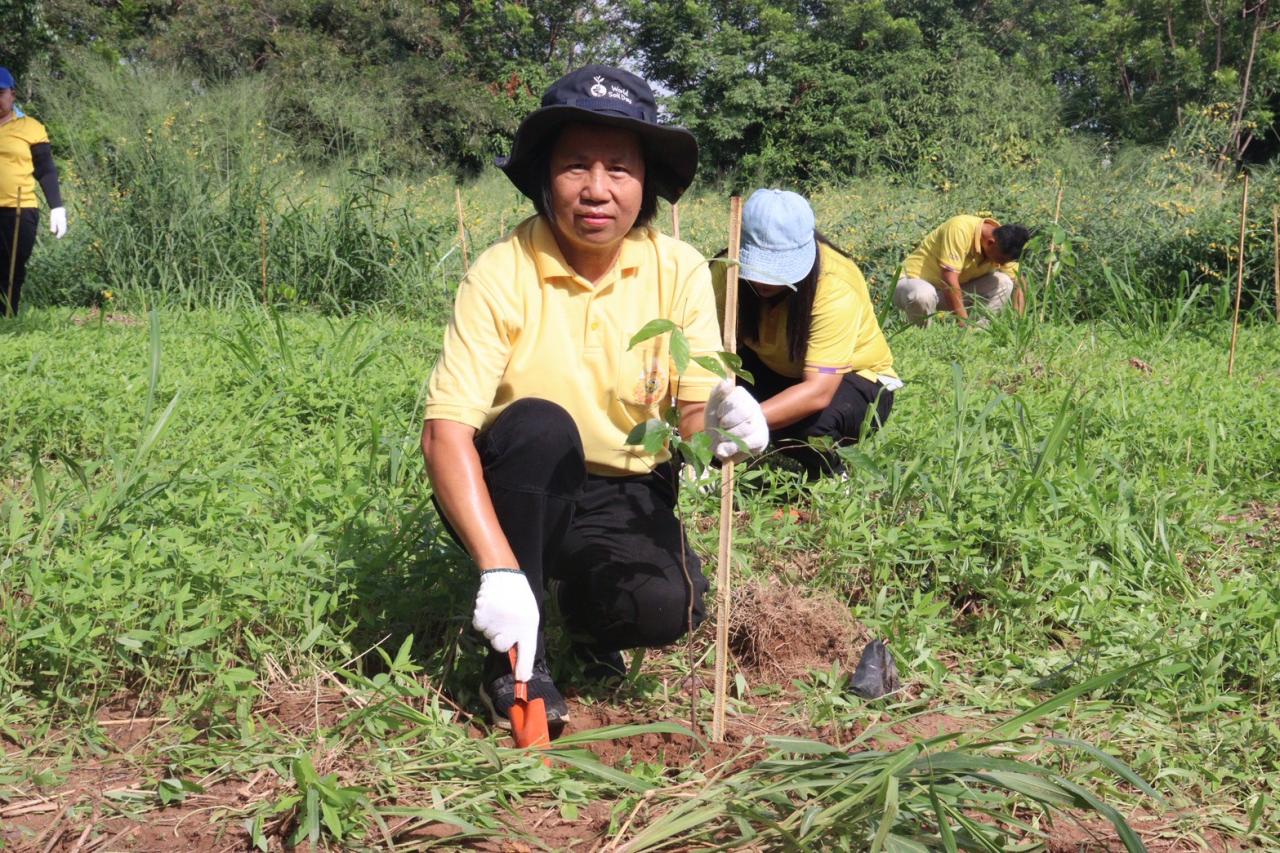 ภาพประกอบที่ 2