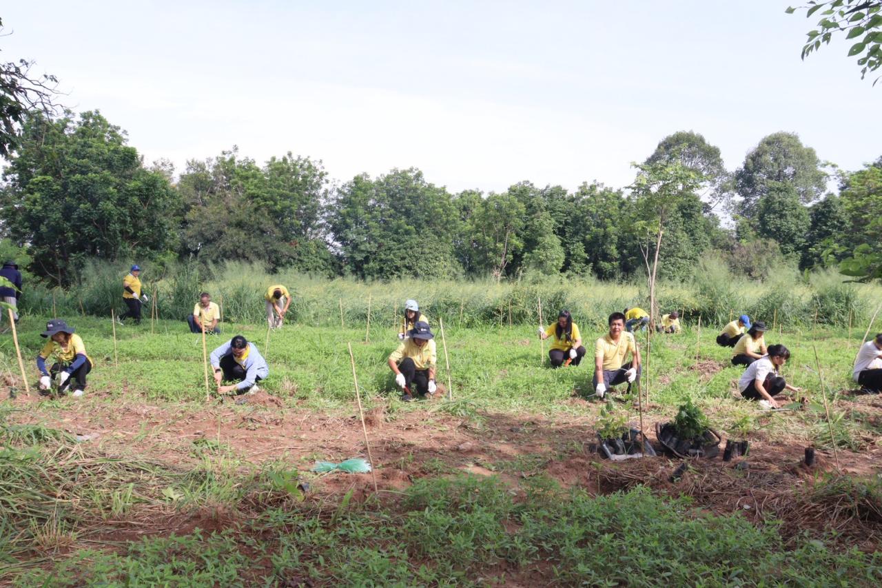 ภาพประกอบที่ 3
