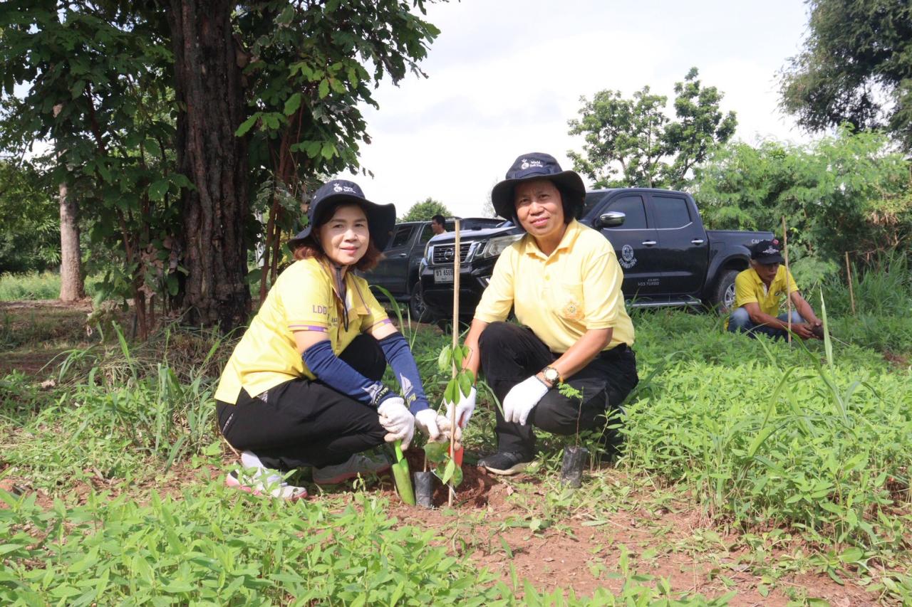ภาพประกอบที่ 4