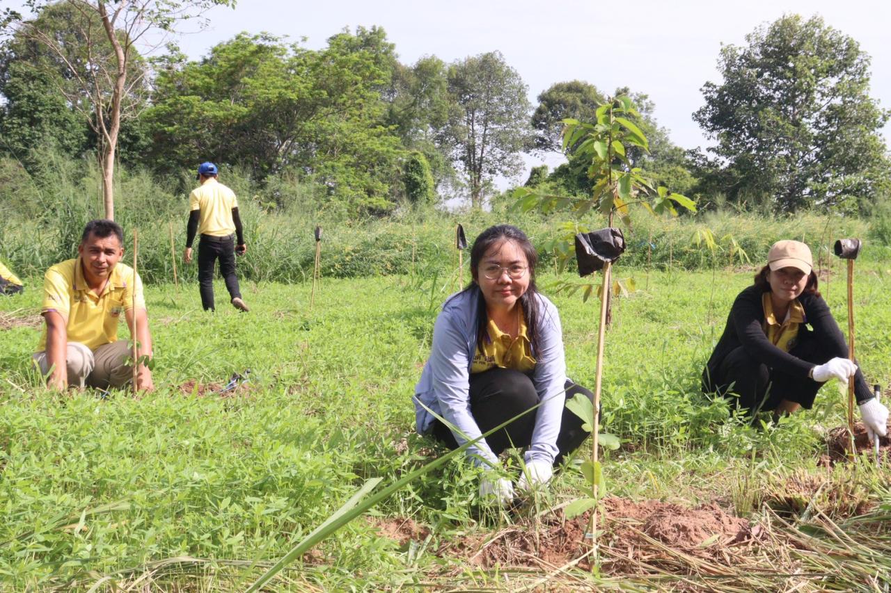 ภาพประกอบที่ 6