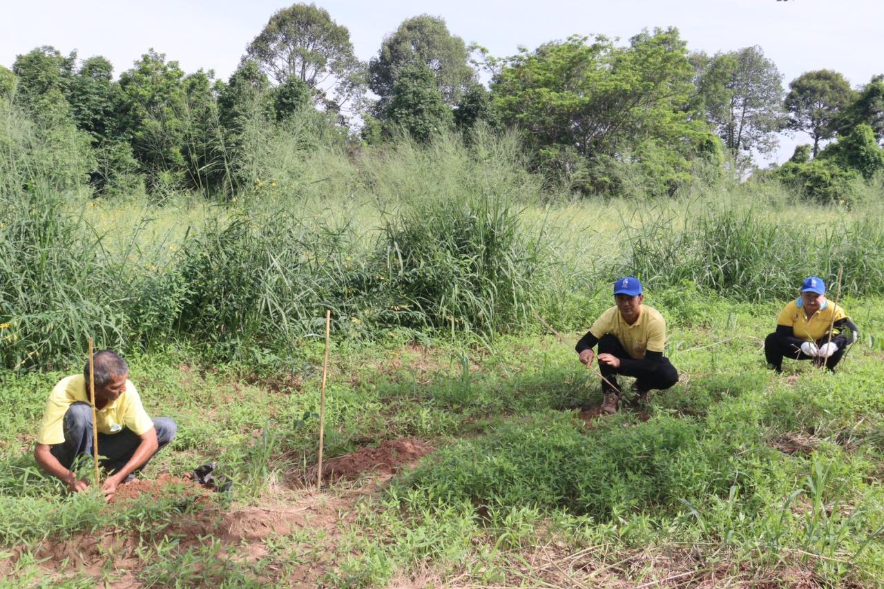ภาพประกอบที่ 7