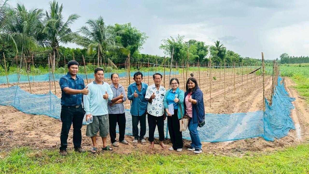 ภาพประกอบที่ 10