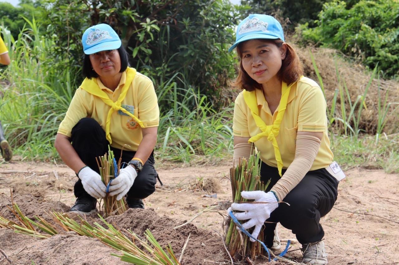 ภาพประกอบที่ 6