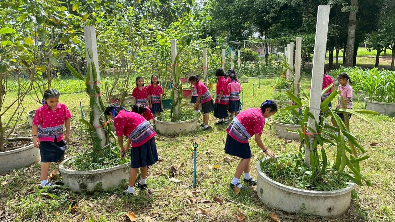 ภาพประกอบที่ 7