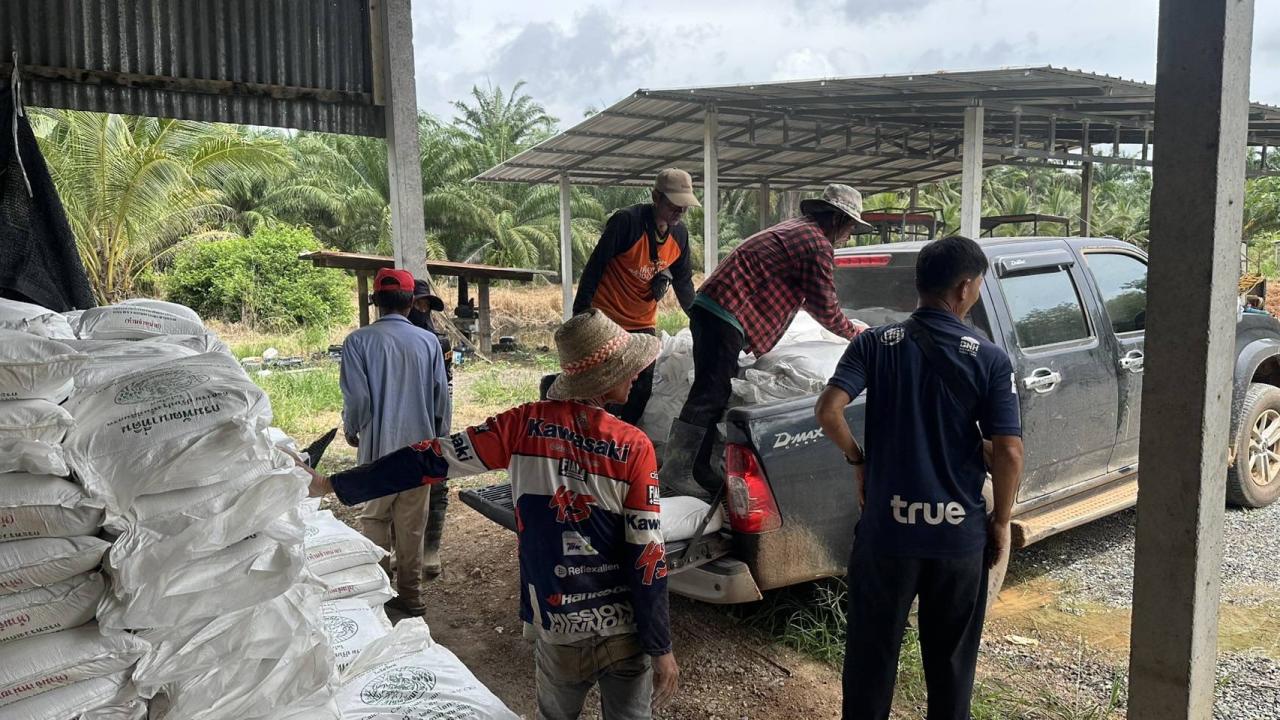 ภาพประกอบที่ 3