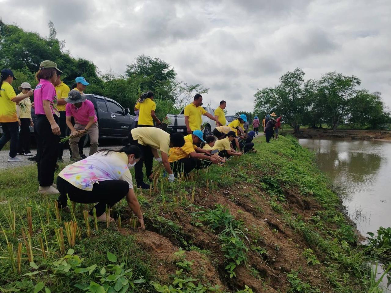 ภาพประกอบที่ 0