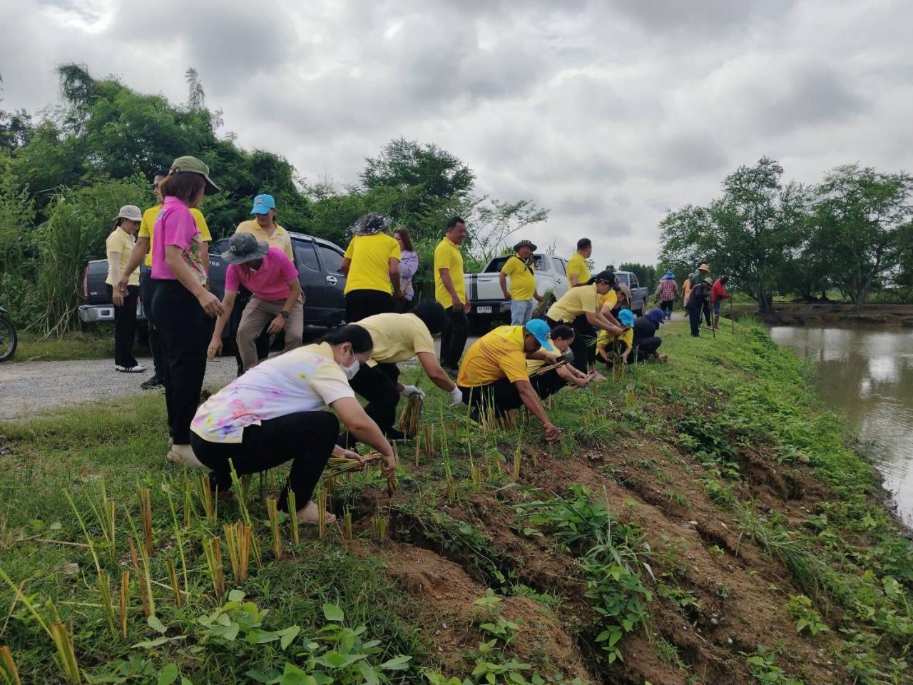 ภาพประกอบที่ 1