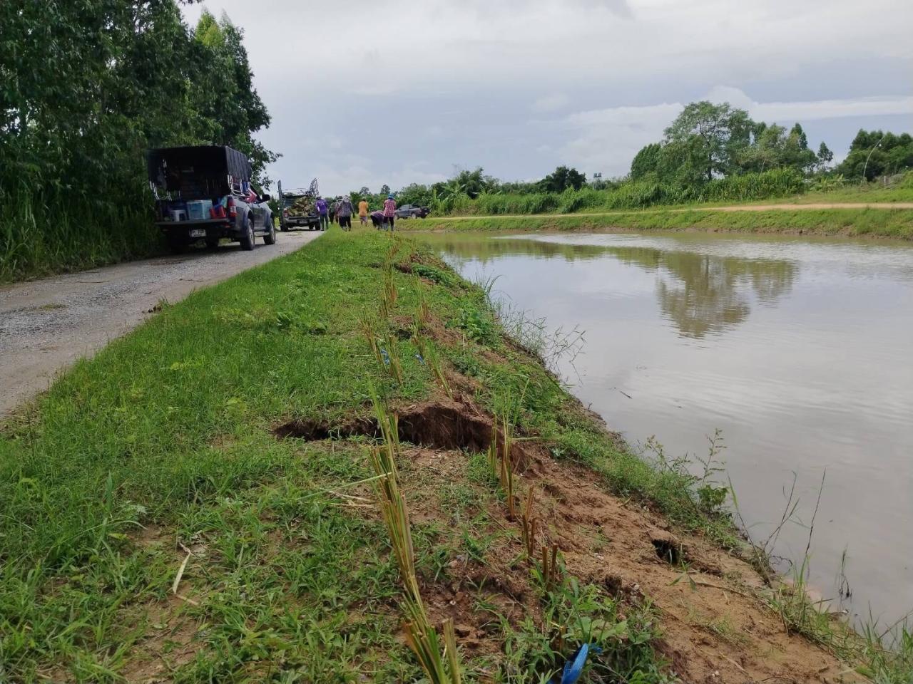 ภาพประกอบที่ 7