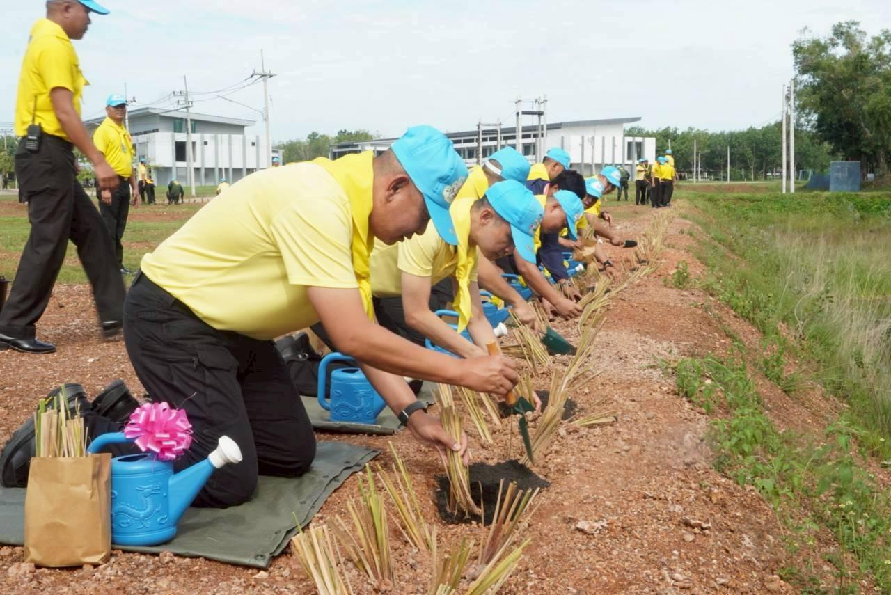ภาพประกอบที่ 3