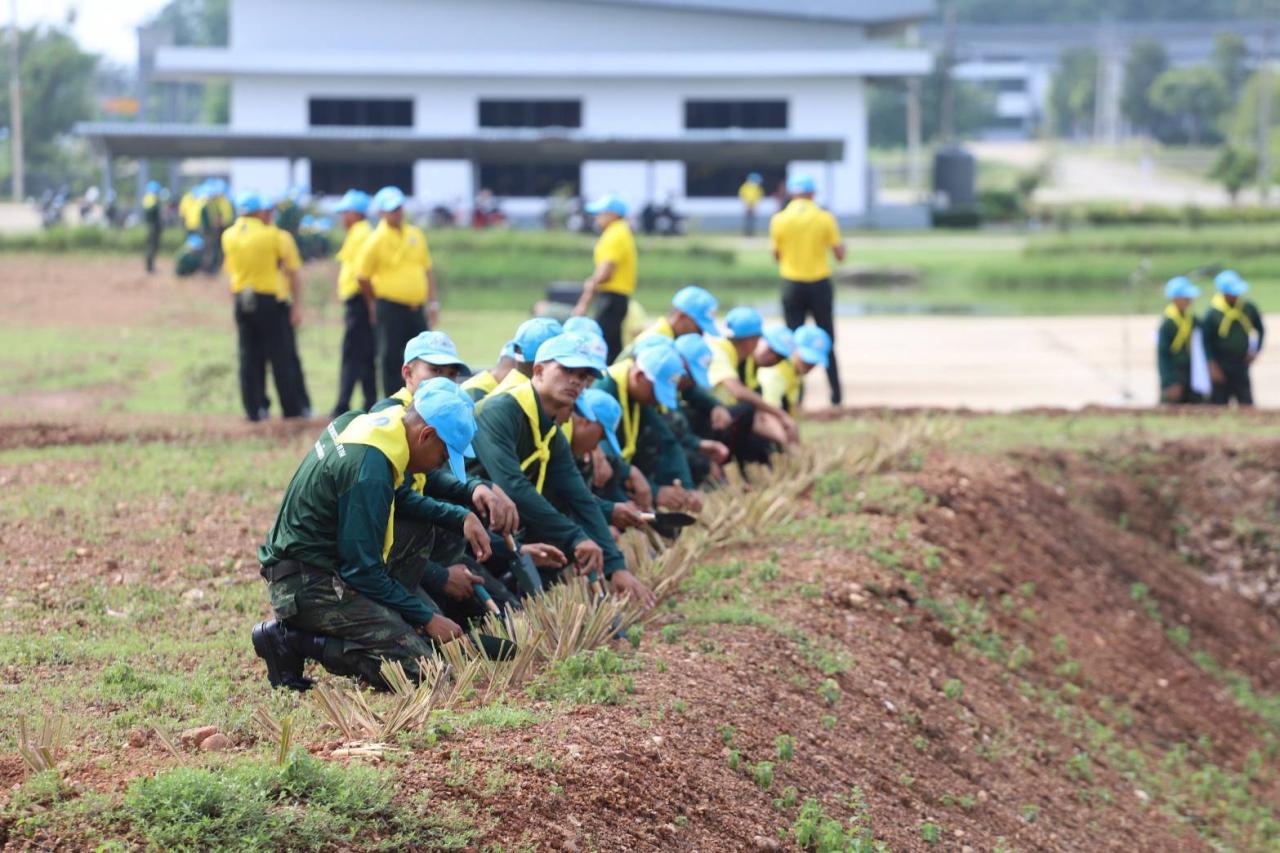 ภาพประกอบที่ 4