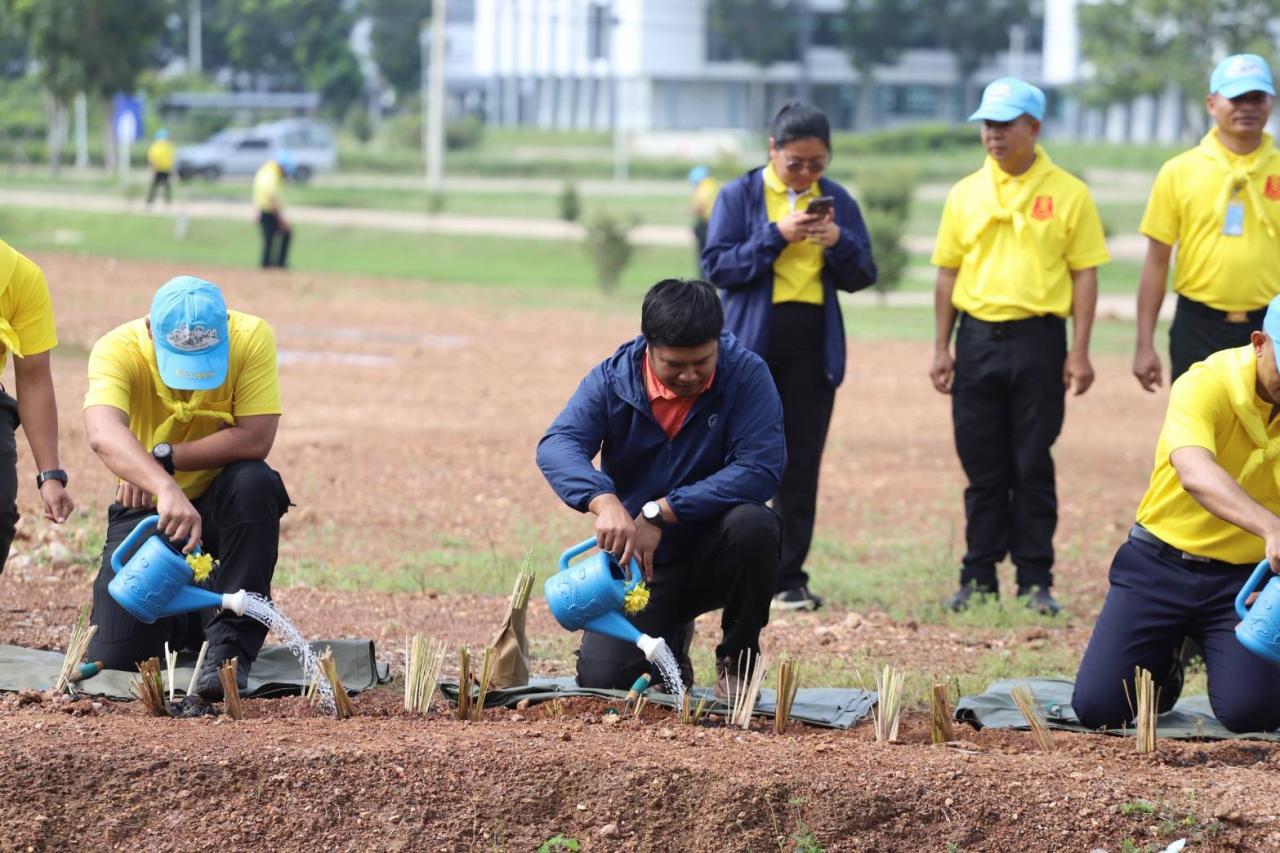 ภาพประกอบที่ 5